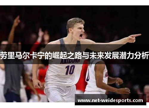 劳里马尔卡宁的崛起之路与未来发展潜力分析